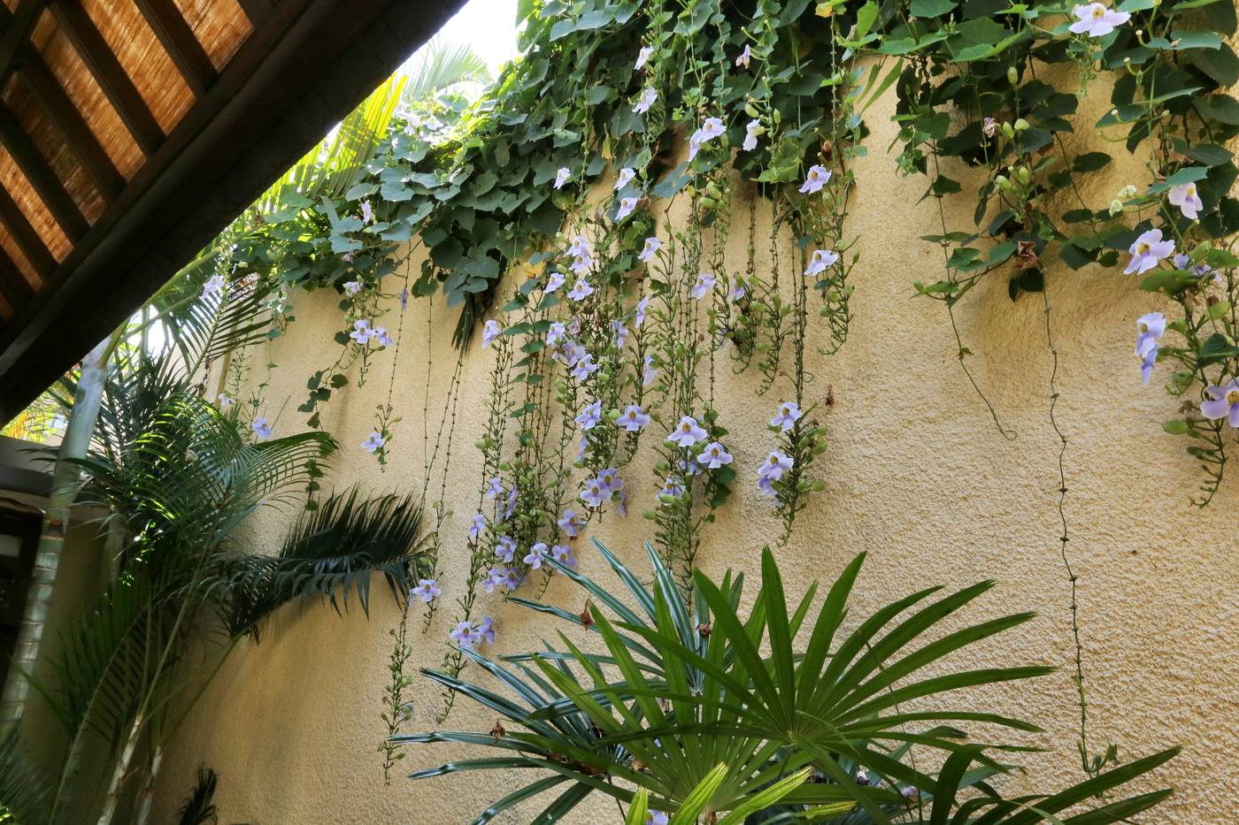 The Sanyas Suite-Indonesia-BALI-General view-3