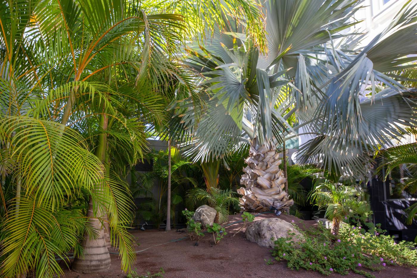 Labranda-Marieta-Restaurant-22