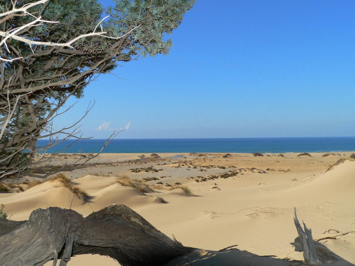 Tarthesh-Hotel-Beach-19