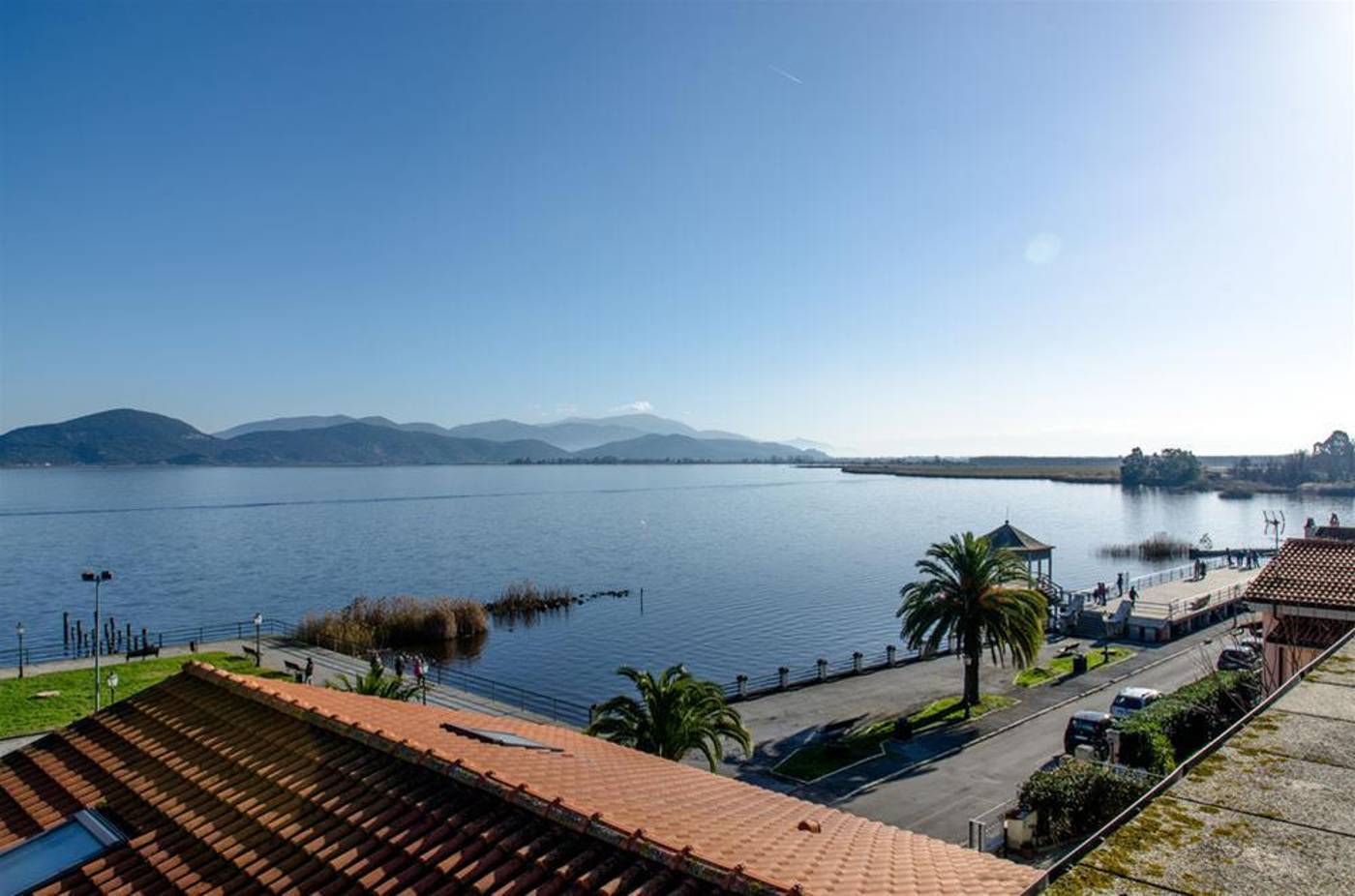 Butterfly-Italy-VIAREGGIO -General view-3