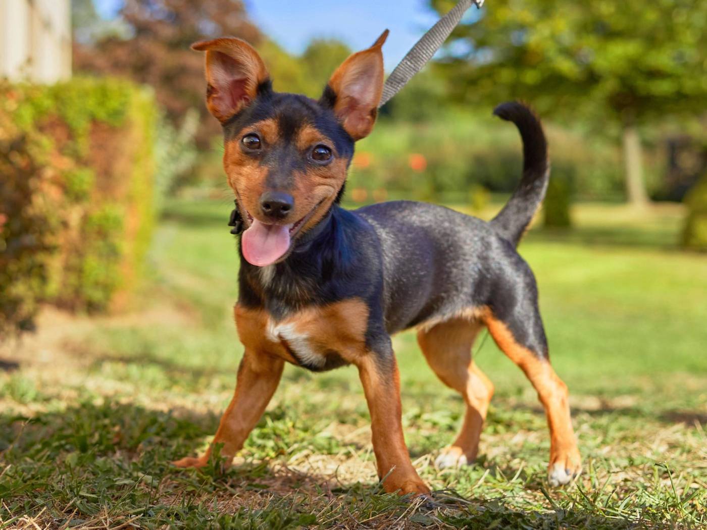 Novotel Antwerpen-Belgium-ANTWERPEN-General view-6