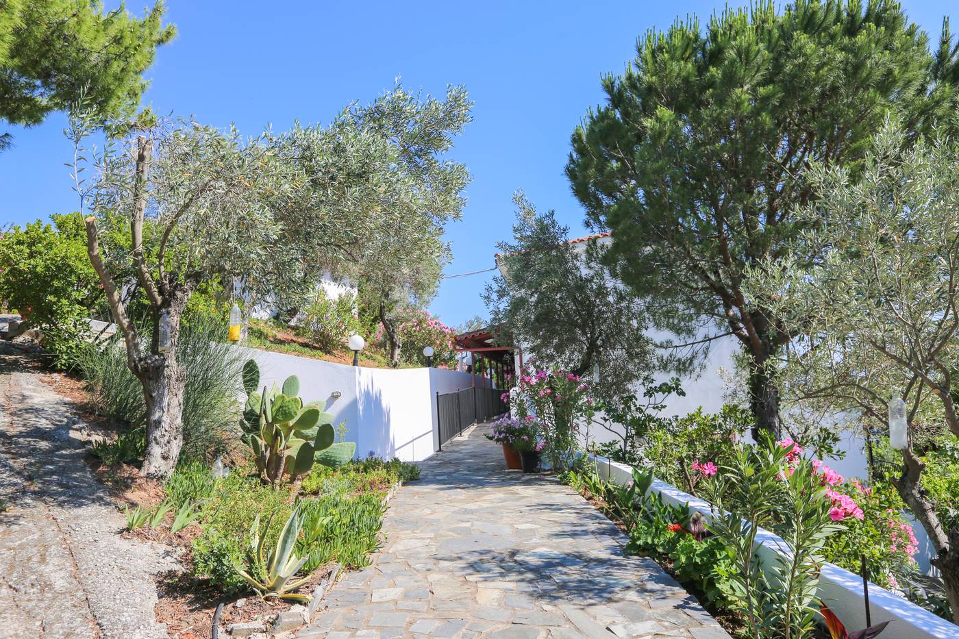 Angelina-Studios-General-view-12