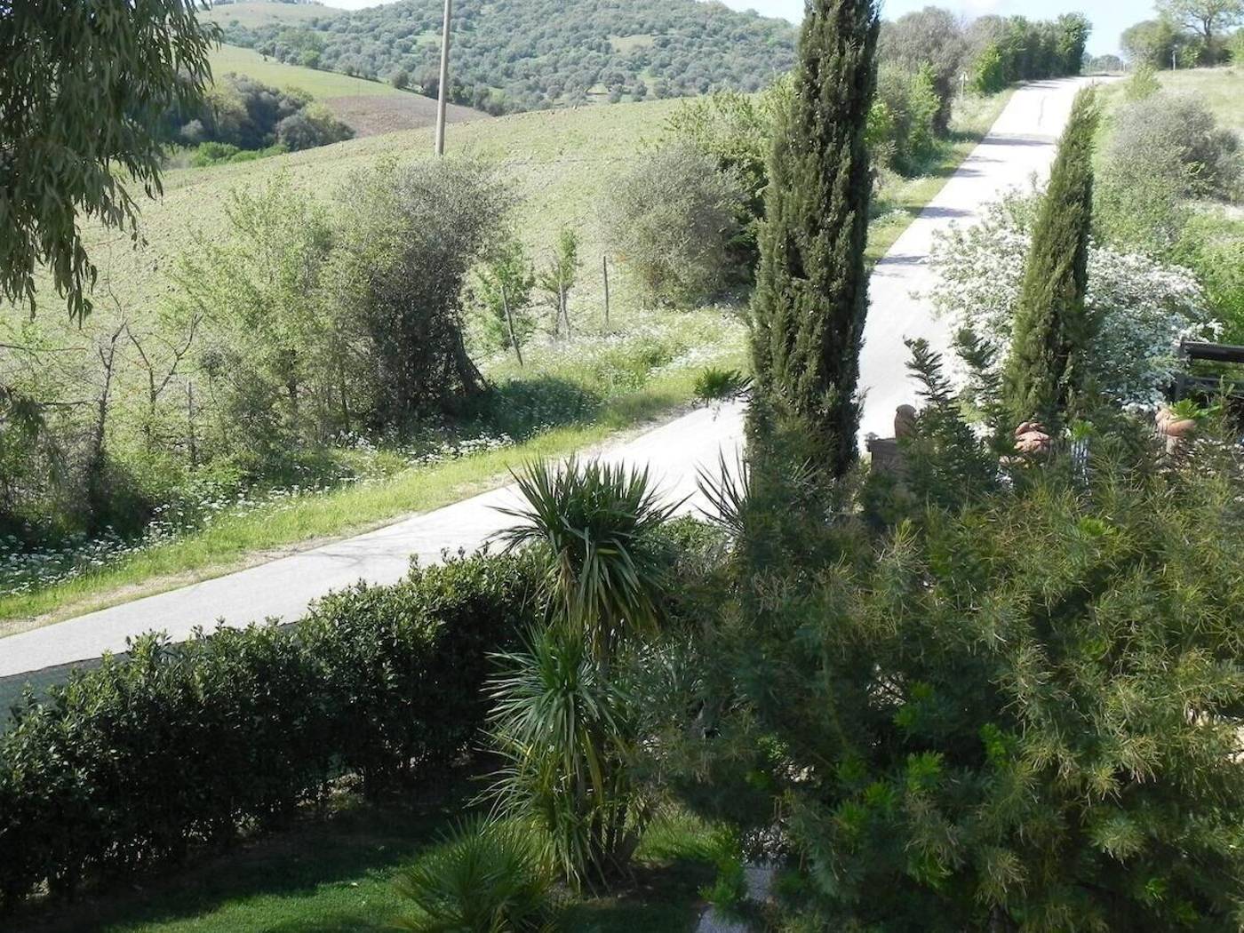 B&B Monte Di Bù-Italy-CAMPAGNATICO-General view-9