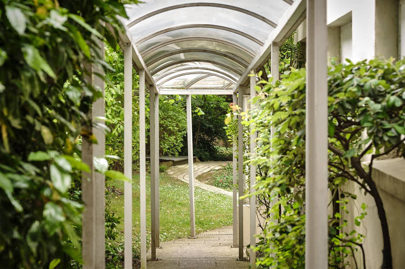 Abaca-Messidor-by-Happyculture-General-view-12