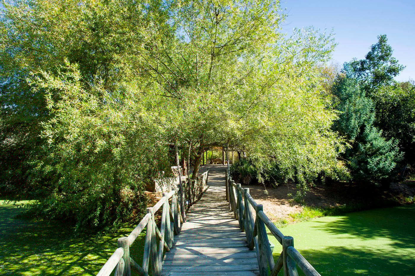 Moinho-Do-Alamo-Sports-and-Entertainment-12