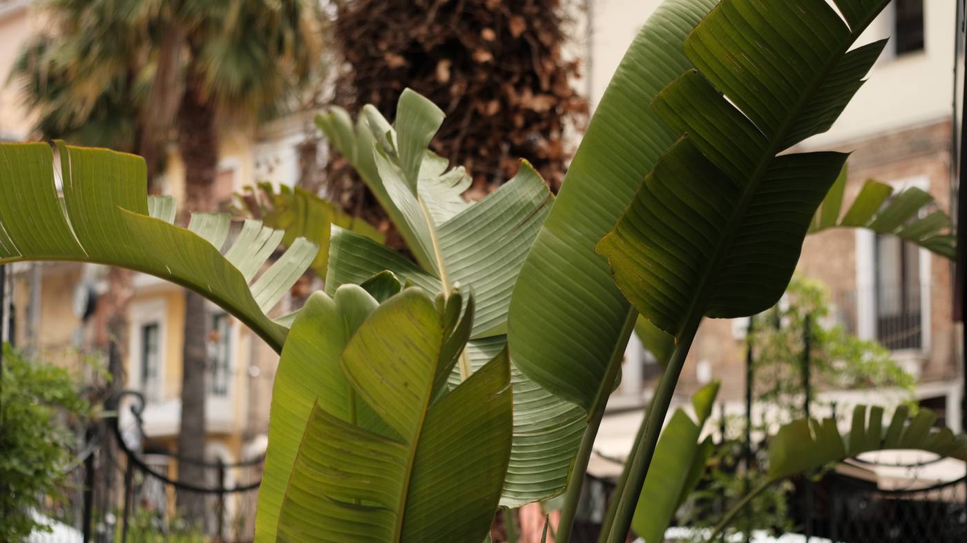 Albergo Centrale-Italy-LAMEZIA TERME-Lobby-8