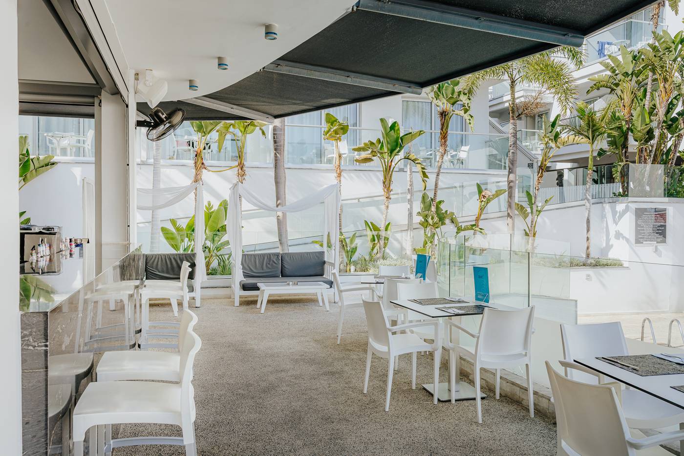 24.12.25 Tasia Maris Oasis