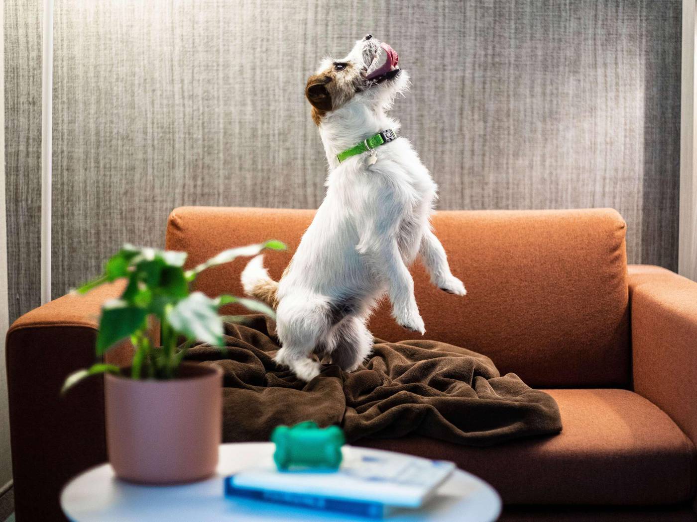 Mercure-Firenze-Centro-Room-7