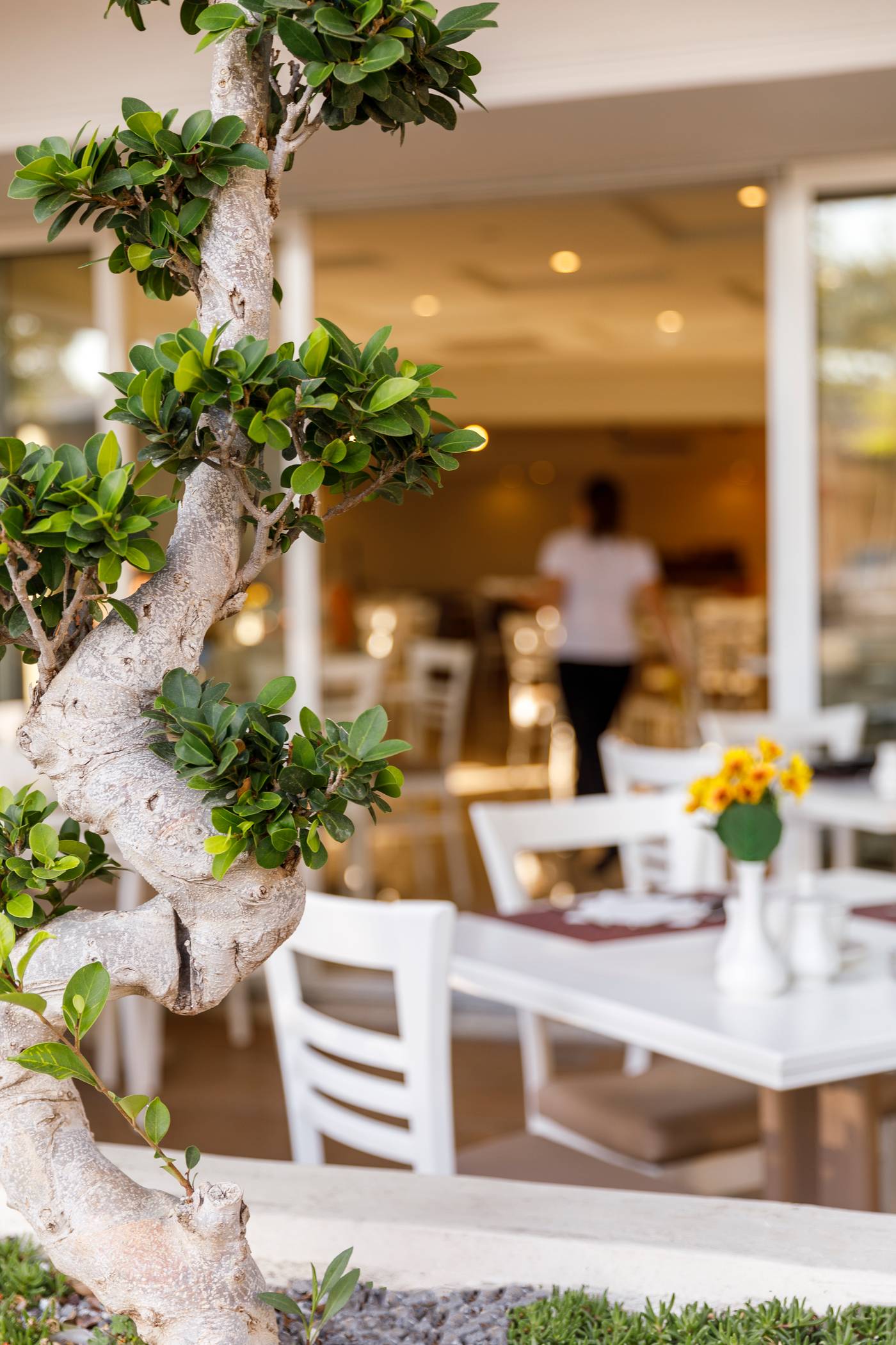 Best-Western-Plaza-Terrace-27