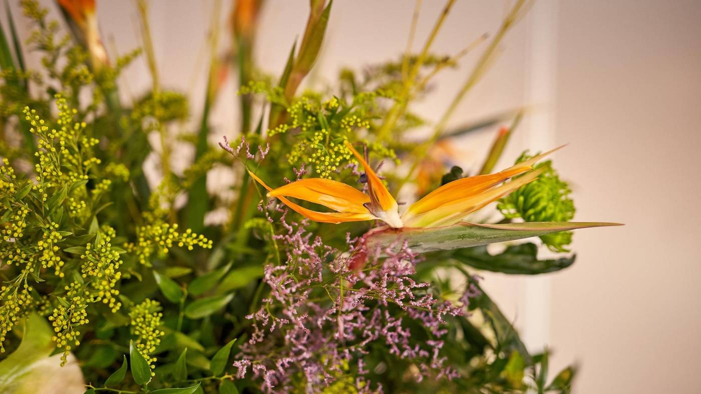 Van Der Valk Hotel Ara-Netherlands-ZWIJNDRECHT-Lobby-4