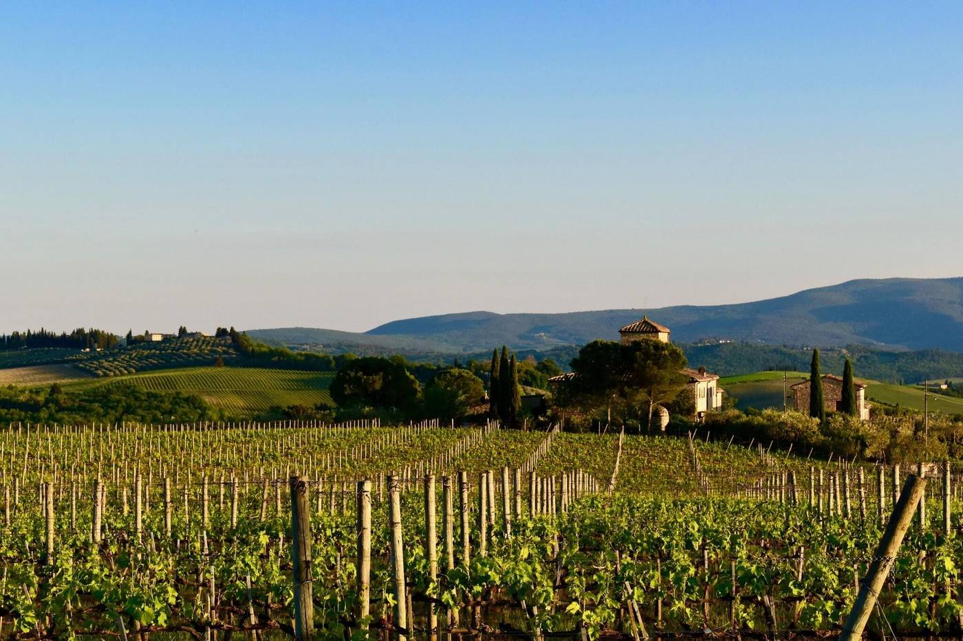 Locanda Le Piazze-Italy-CASTELLINA IN CHIANTI-General view-5