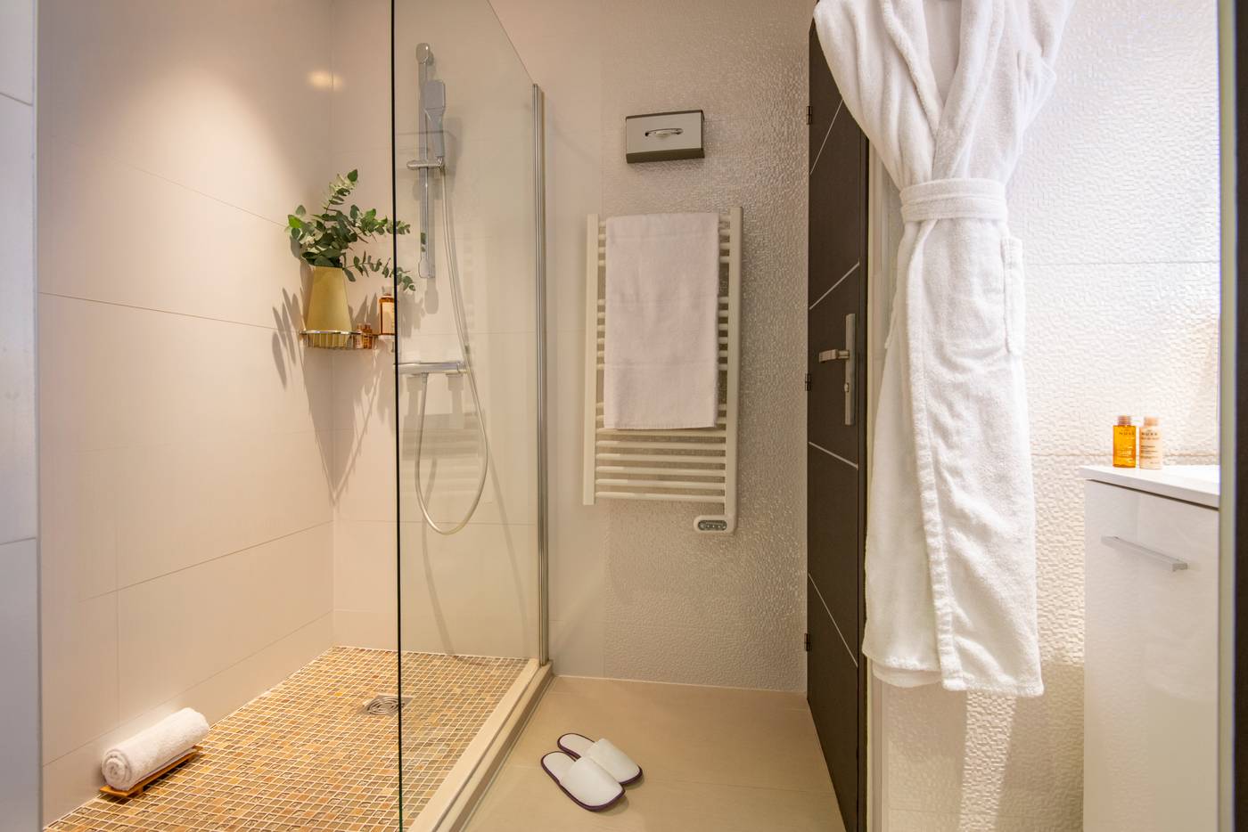 Albert-Premier-Room-18