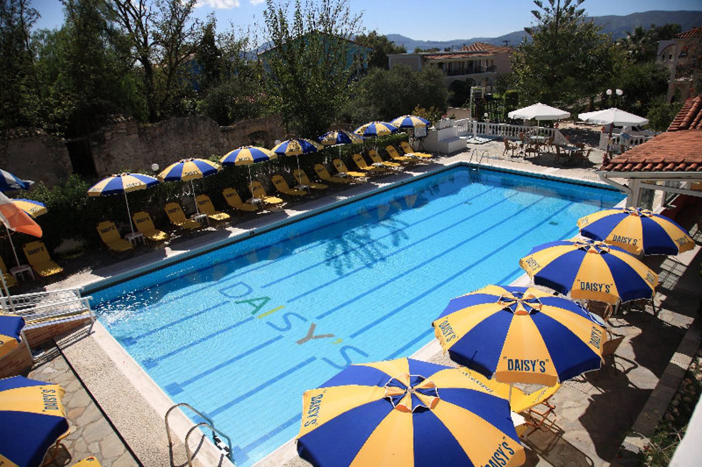 Daisy-Apartments-Pool-6