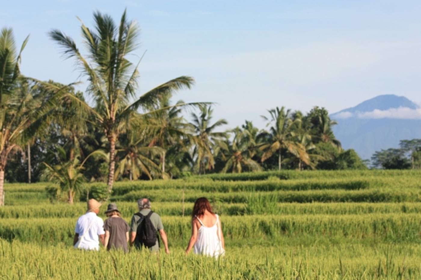 Wapa di Ume Ubud-Indonesia-UBUD-General view-10