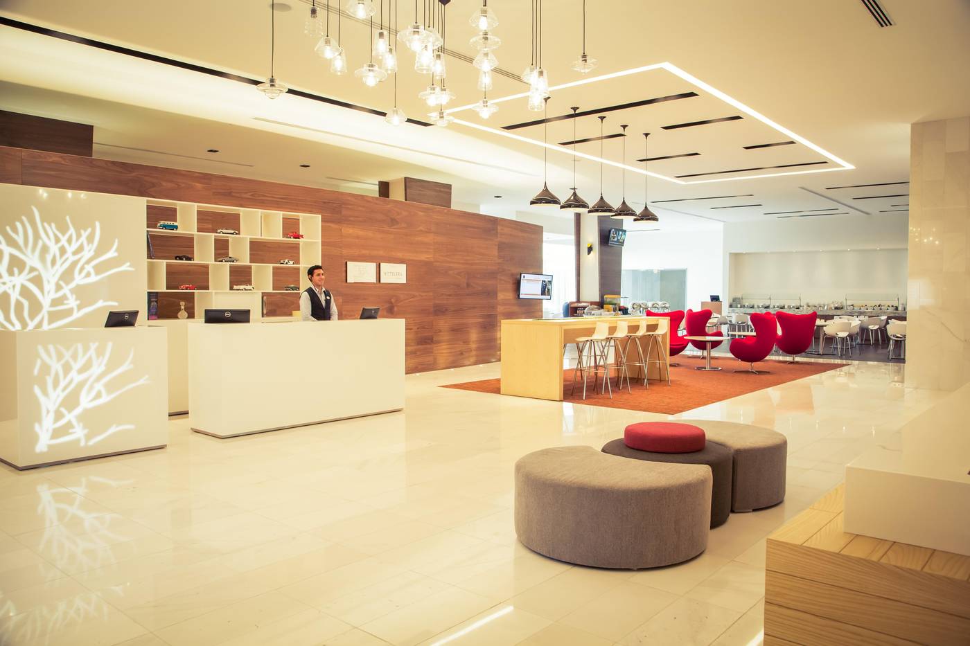 Fiesta Inn Plaza Central Aeropuerto-Mexico-MEXICO-Lobby-6