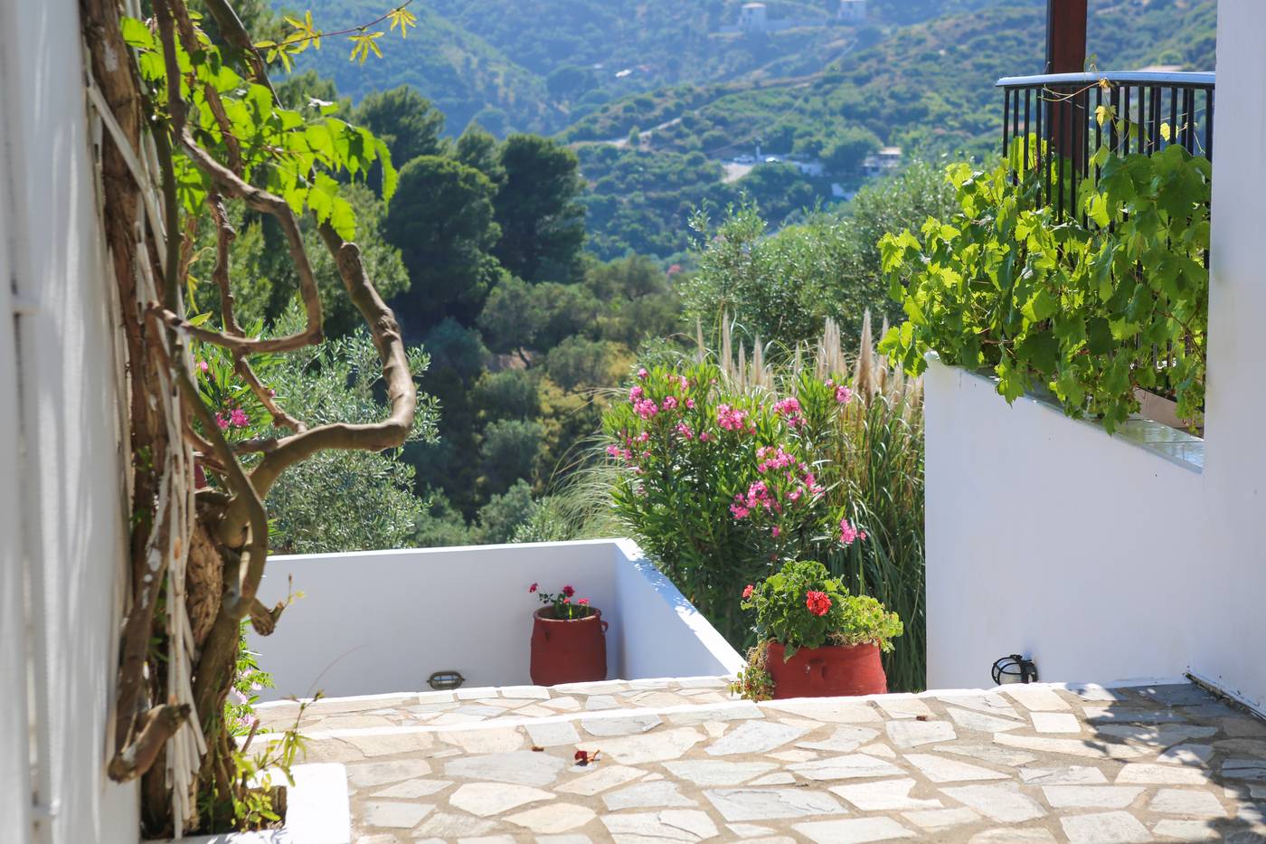 Angelina-Studios-General-view-30