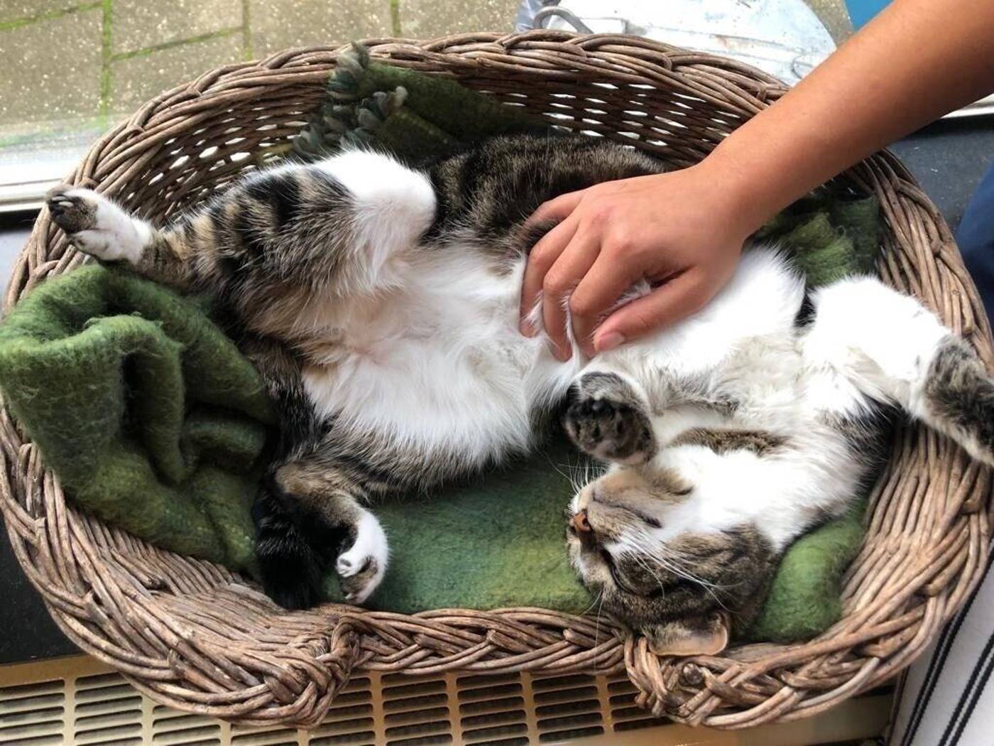 Pension-Homeland-General-view-40