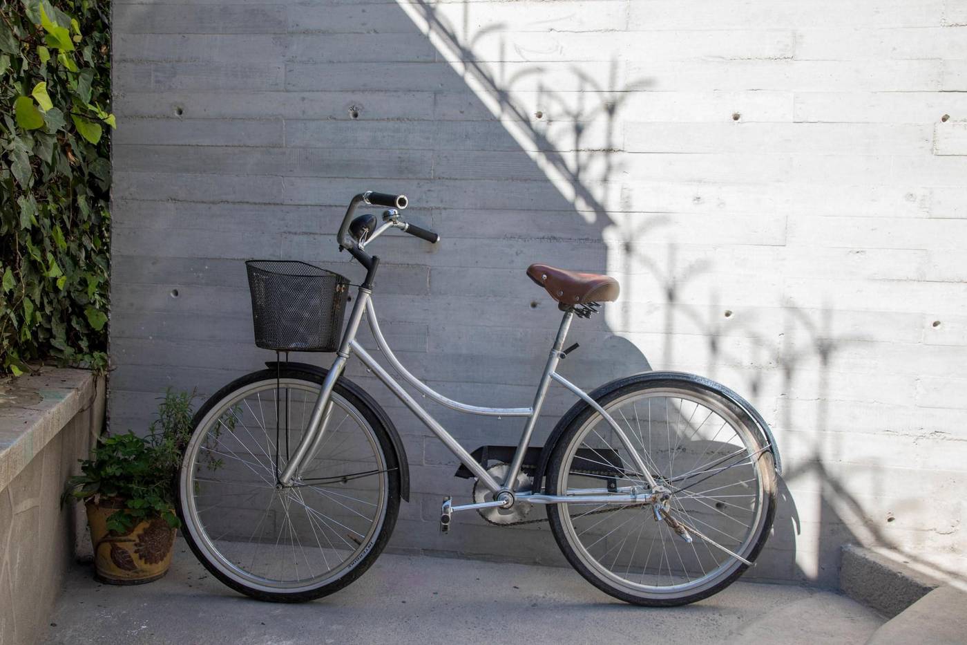 Pug Seal Anatole France-Mexico-MEXICO CITY-General view-2