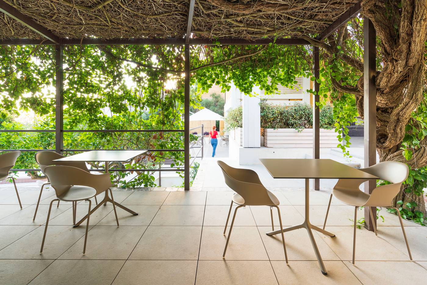 Luna-del-Raccolto--Green-Country-Hotel-Bar-14