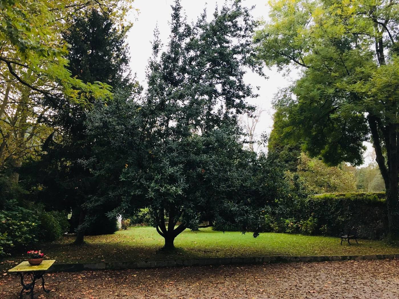 Hotel Casona El Arral-Spain-LIERGANES-General view-4