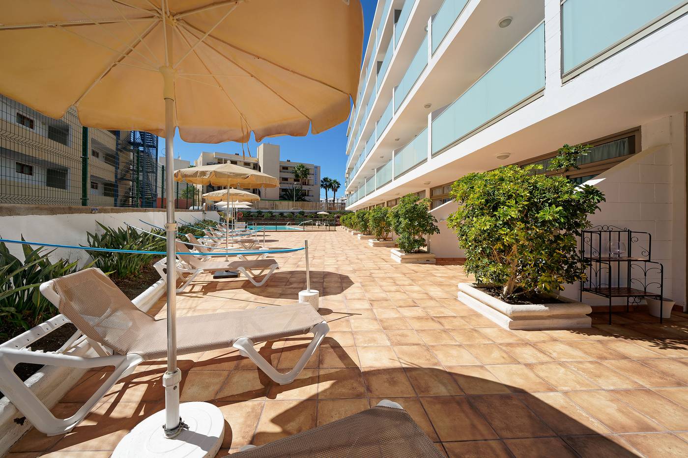 Strelitzias-General-view-10