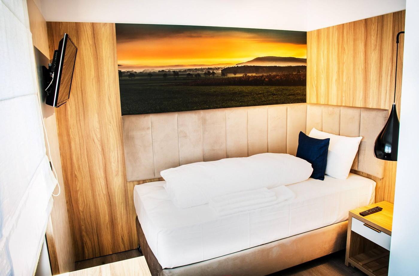 Wilder Mann-Germany-NUREMBURG -Room-8