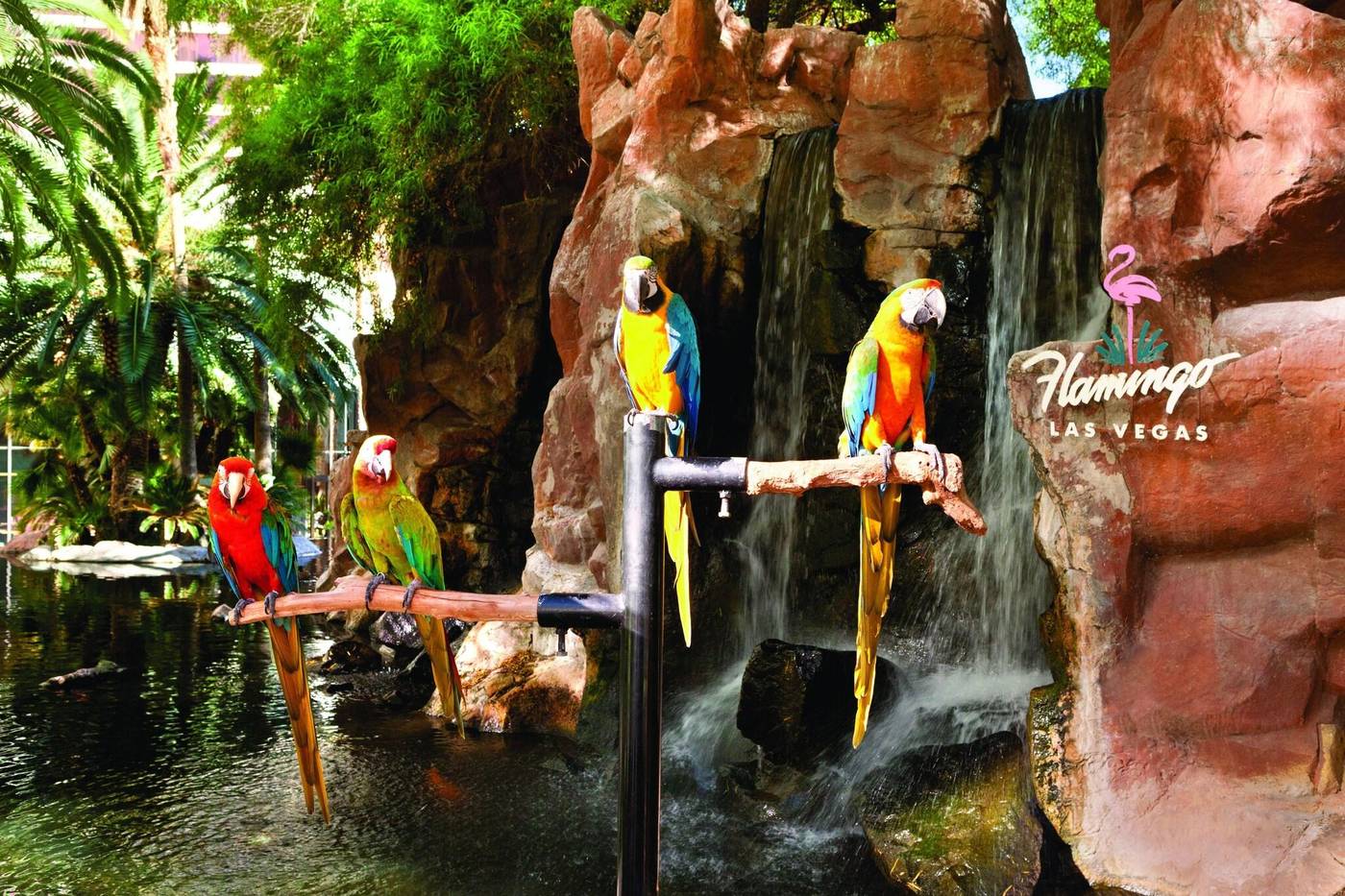 FLAMINGO-LAS-VEGAS-General-view-101