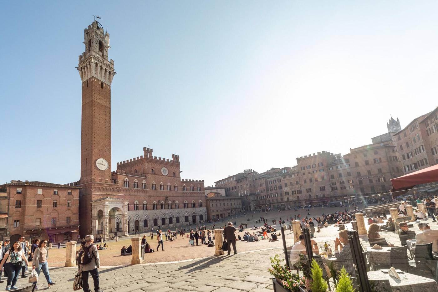 Minerva-Italy-SIENA-General view-5