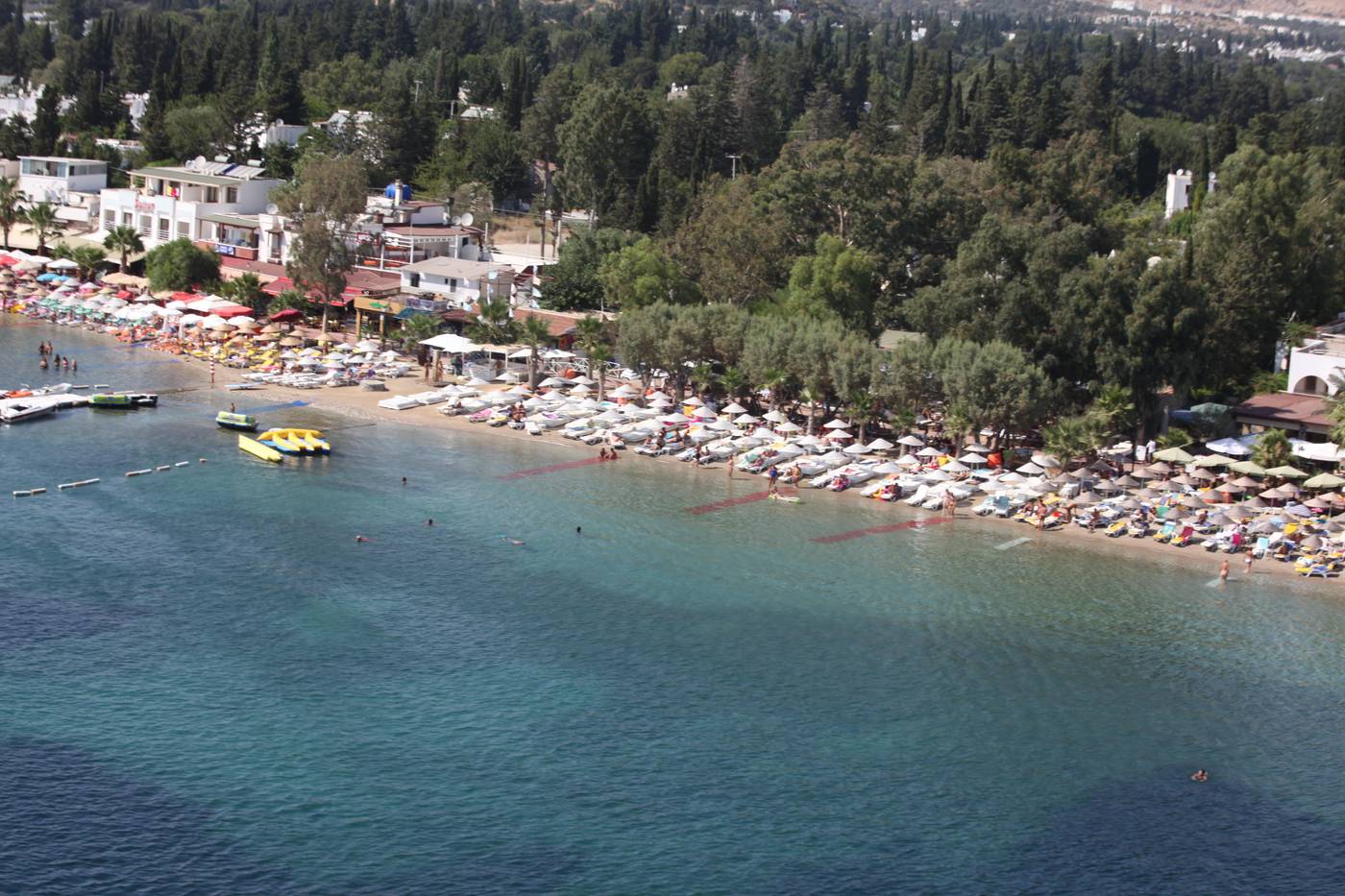 Okaliptus-General-view-23