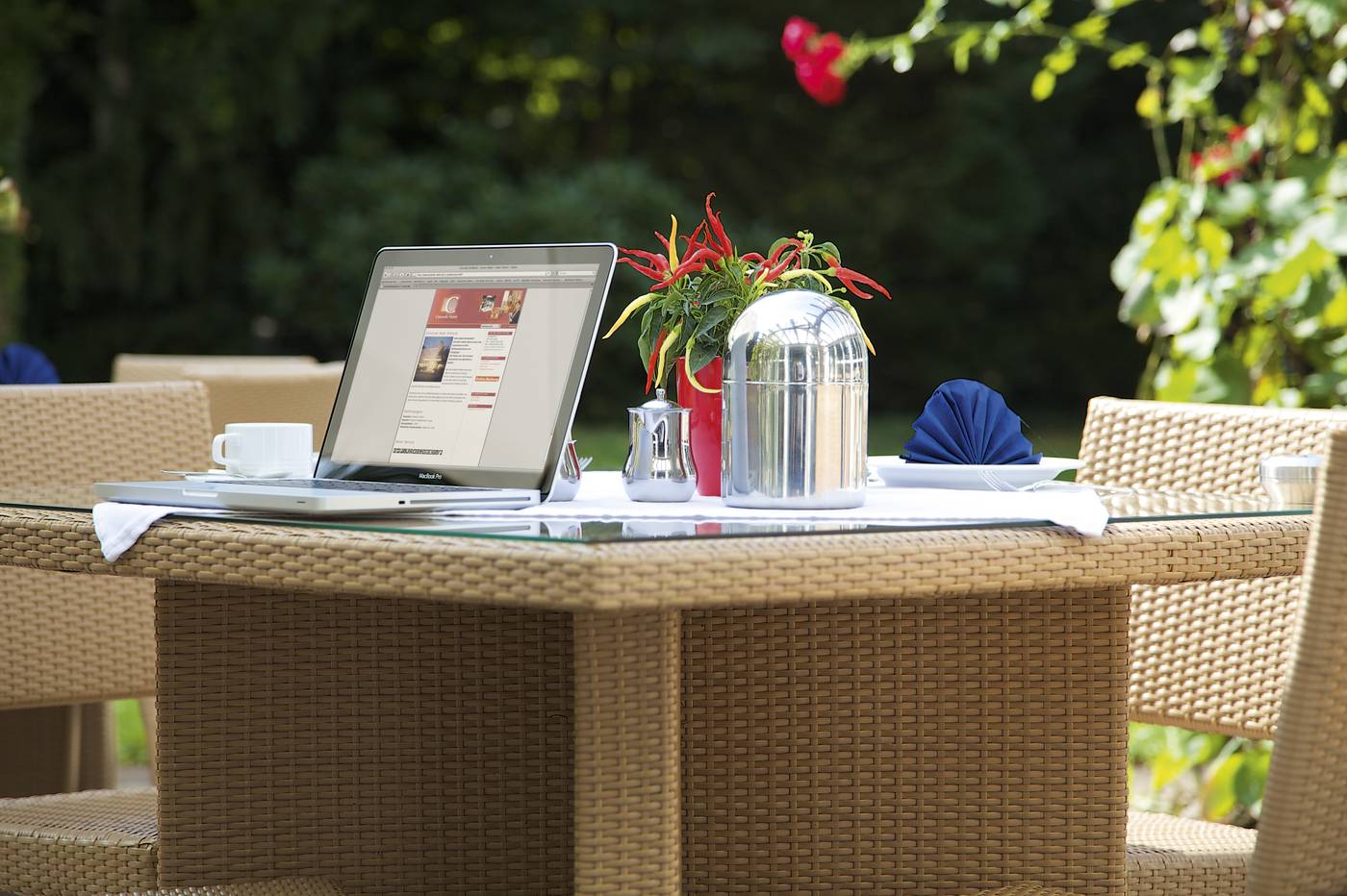 Akzent Concorde Hotel Viktoria - Germany - KRONBERG - Terrace - 7