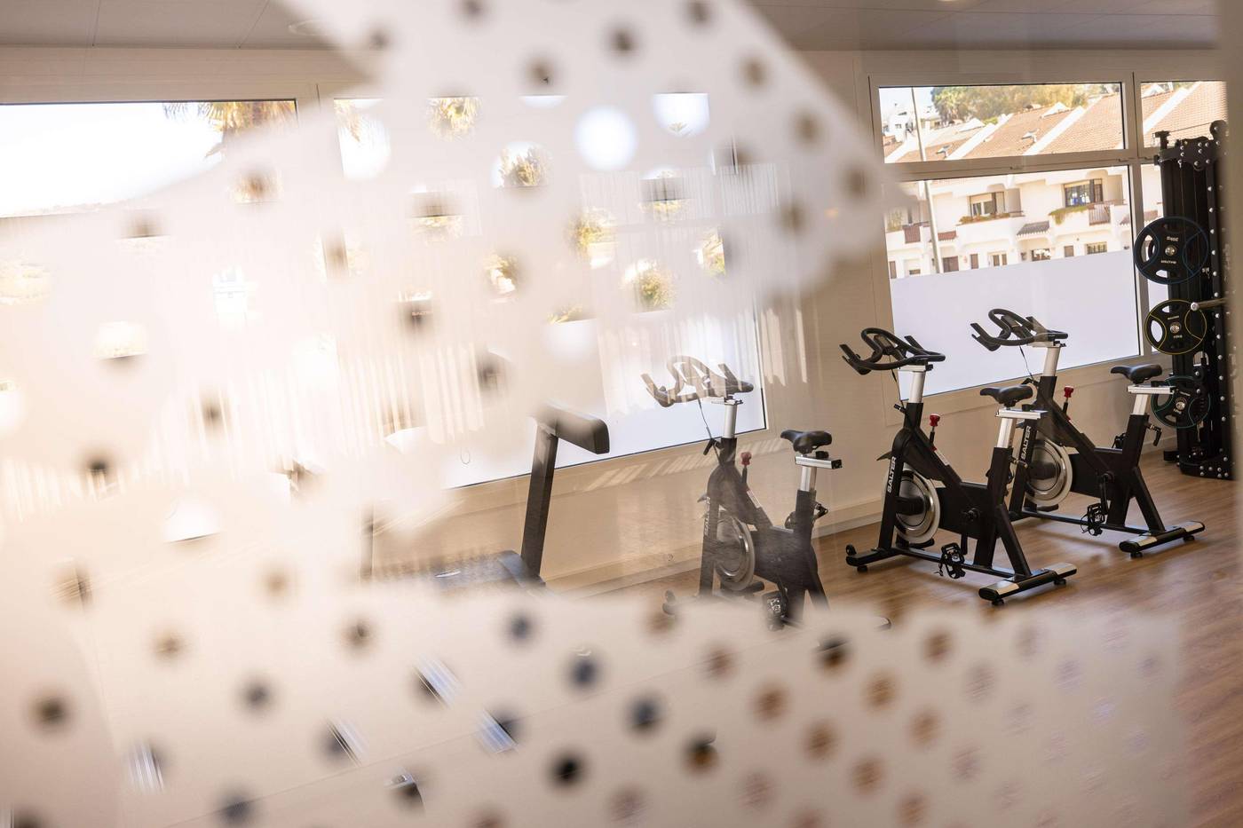 H-Top-Olympic-Sports-and-Entertainment-39