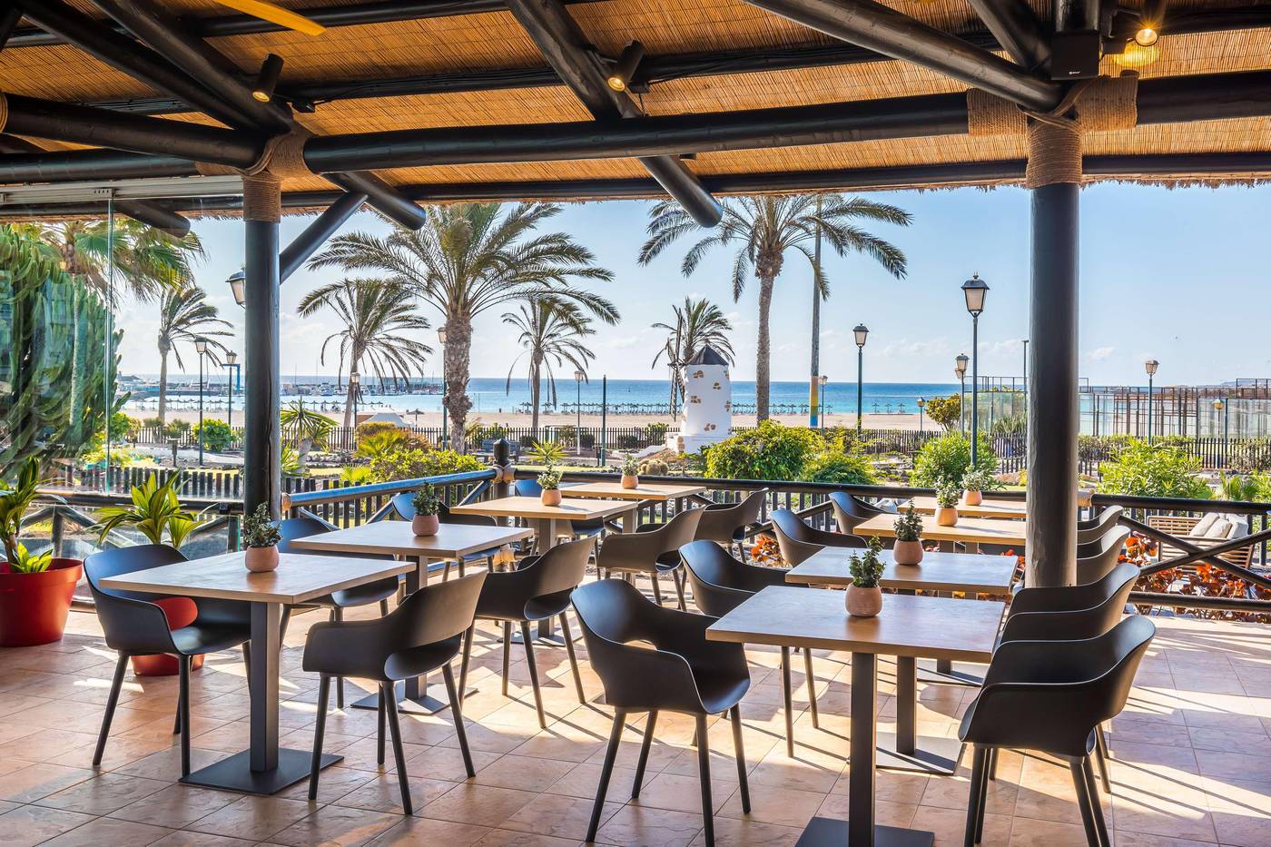 Barcelo-Fuerteventura-Mar-Terrace-74