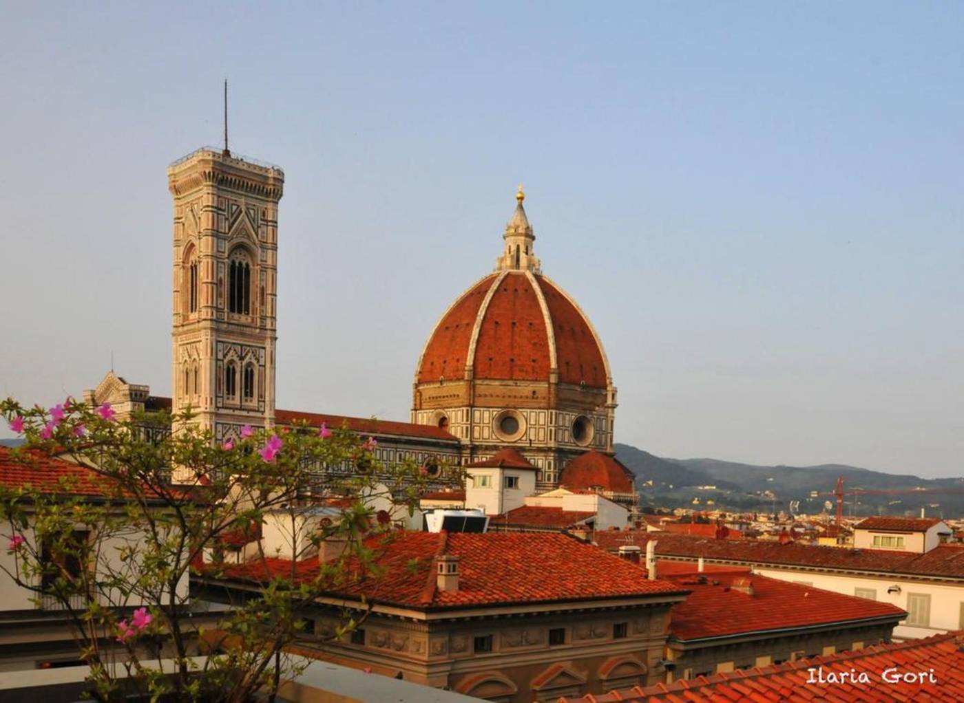 HHB-Hotel---Florencia-General-view-14