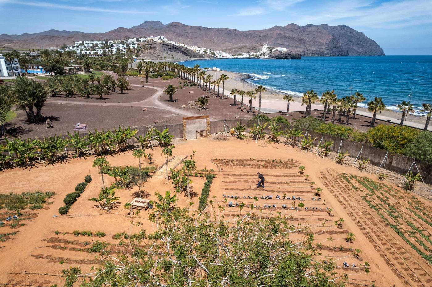 Playitas-Hotel-General-view-78