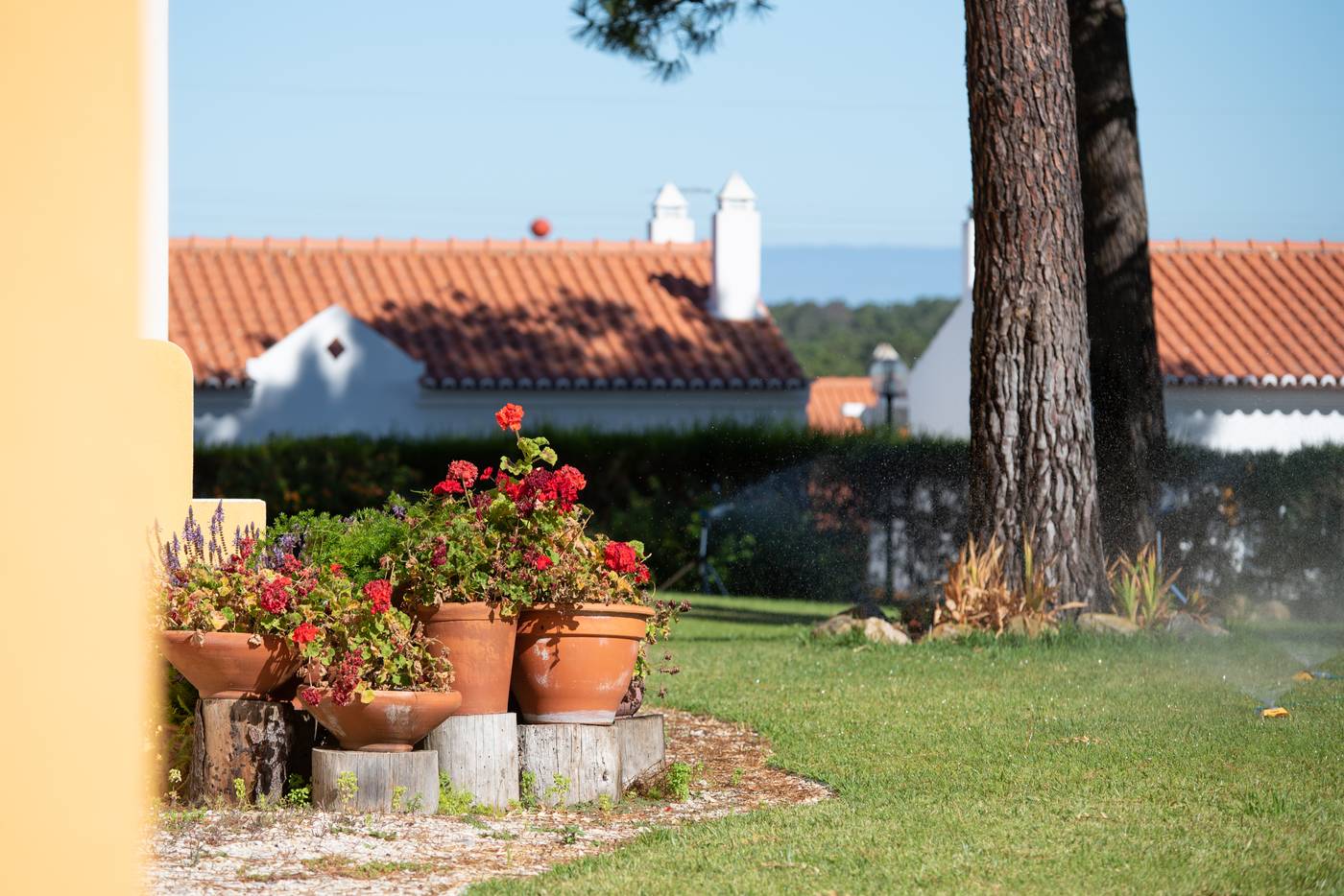 Hotel Rural Monte Da Leziria-Portugal-Vila Nova de Santo André-Pool-10