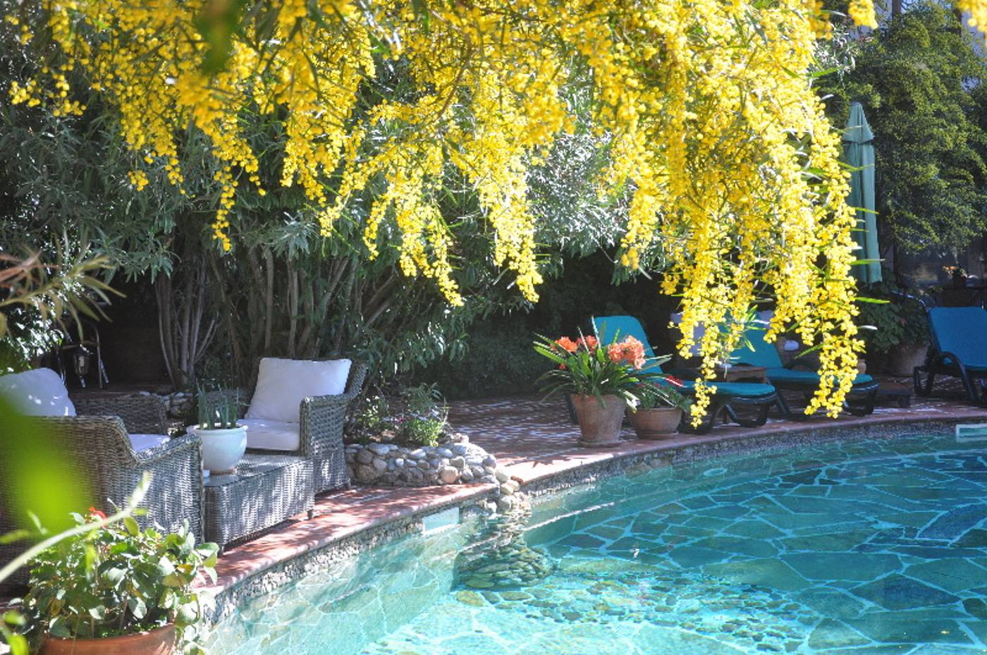 El-Vino-Hotel-Suites-Pool-1