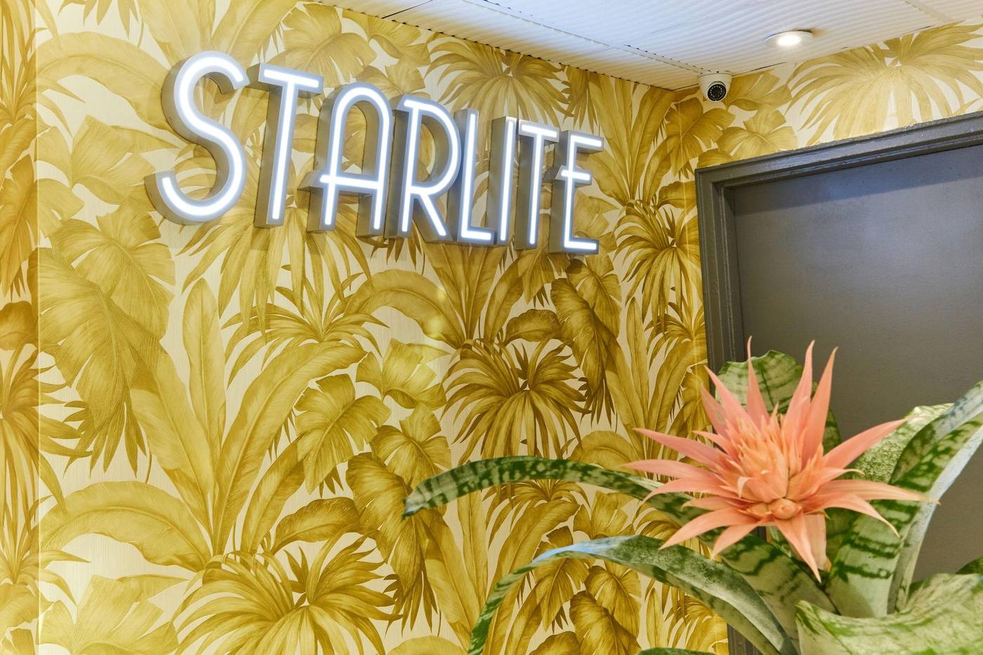 Starlite - United States - MIAMI BEACH - Lobby - 8