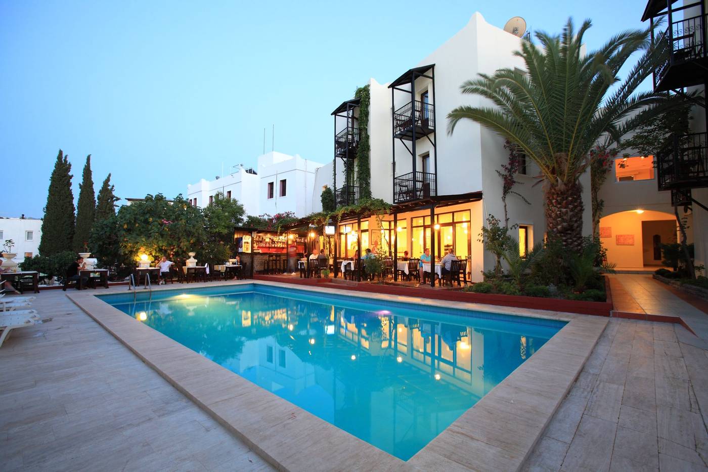 Paloma-Pool-1