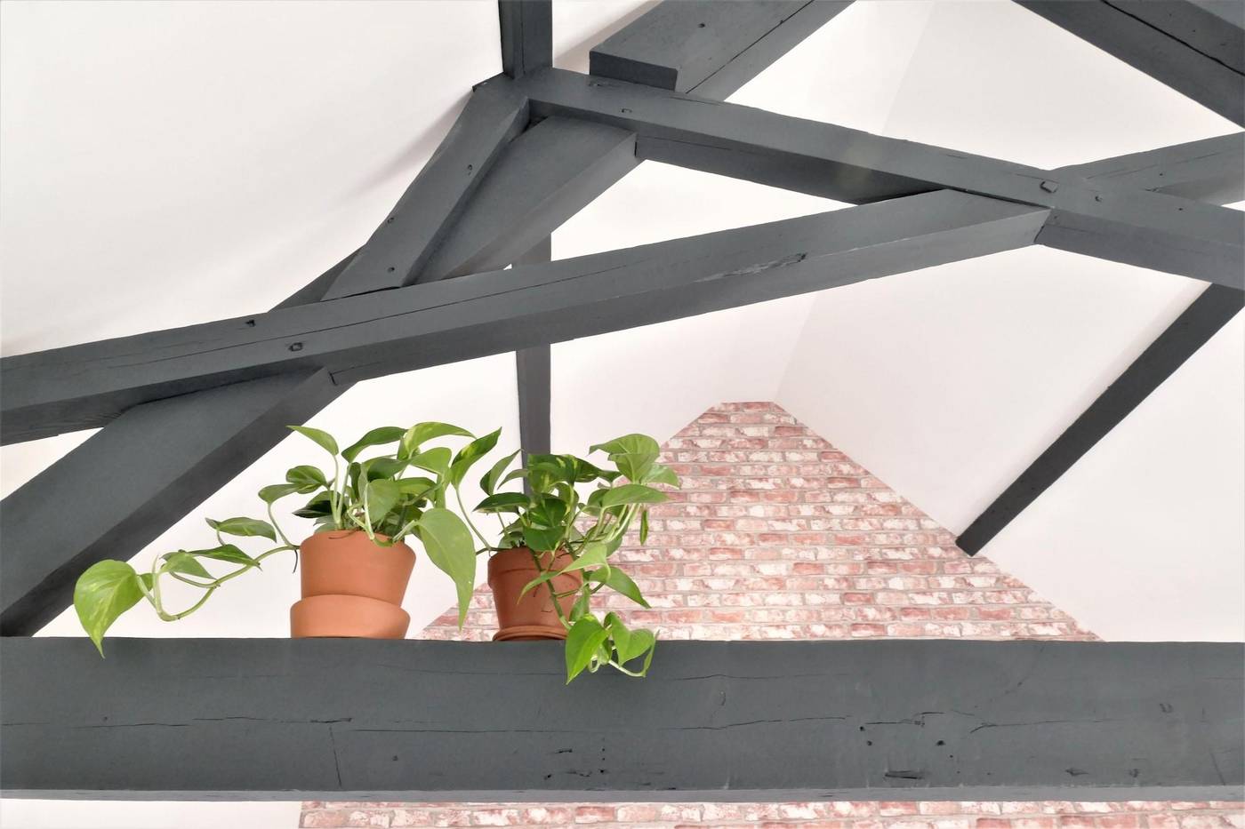 Winston B&B-Netherlands-EINDHOVEN-Lobby-10