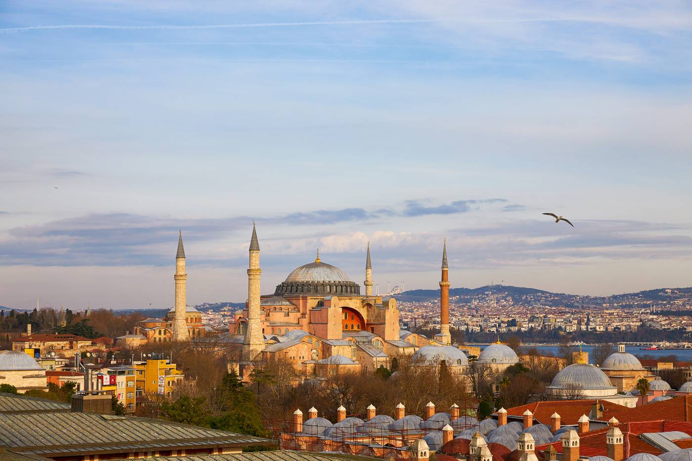 Lady-Diana-Terrace-1