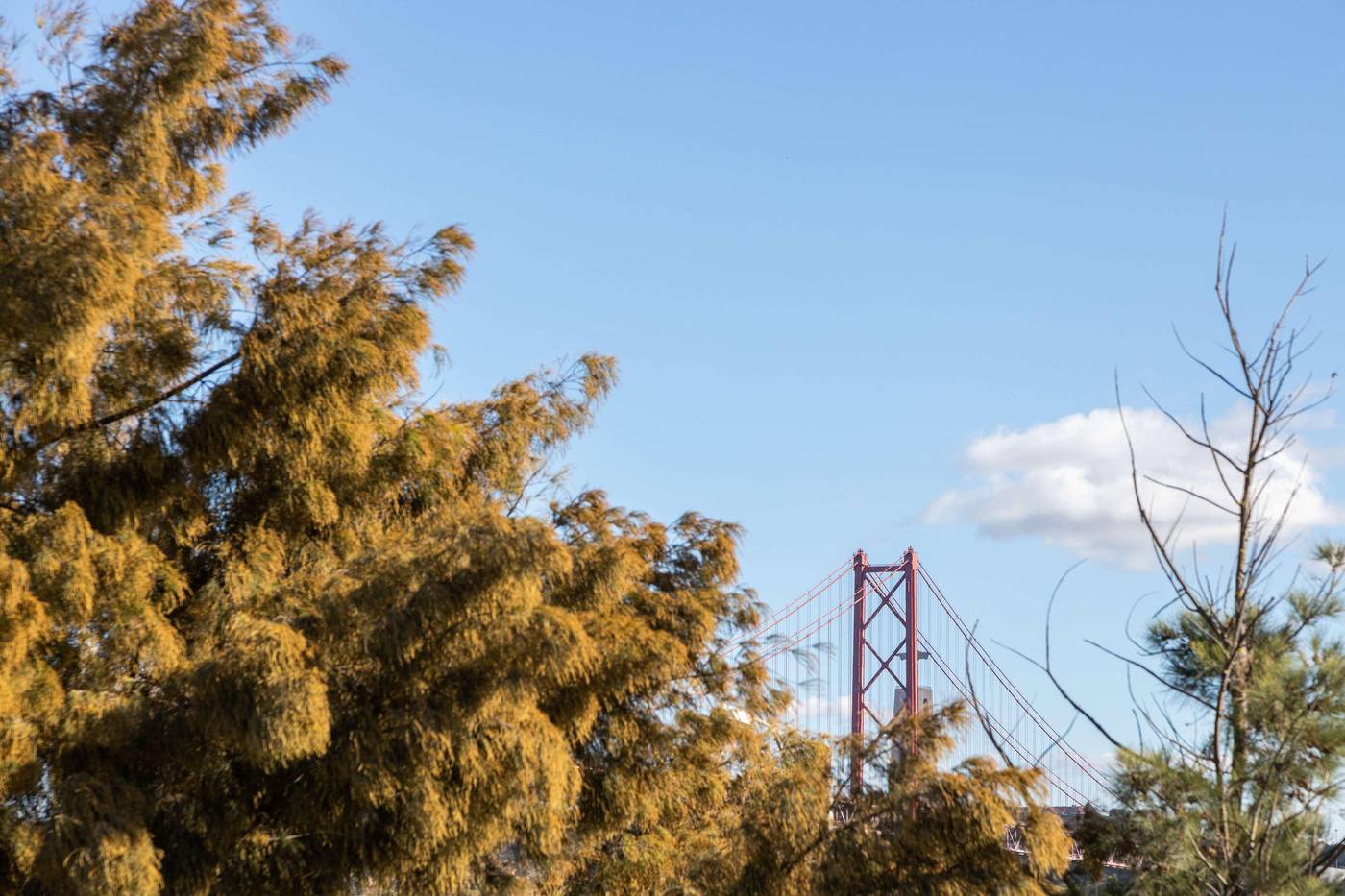 Hyatt-Regency-Lisbon-Room-60