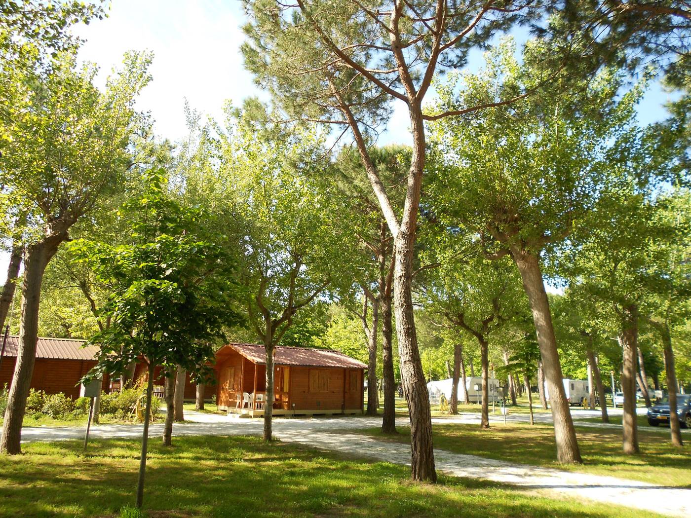 Club-del-Sole-Viareggio-Family-Collection-Room-68