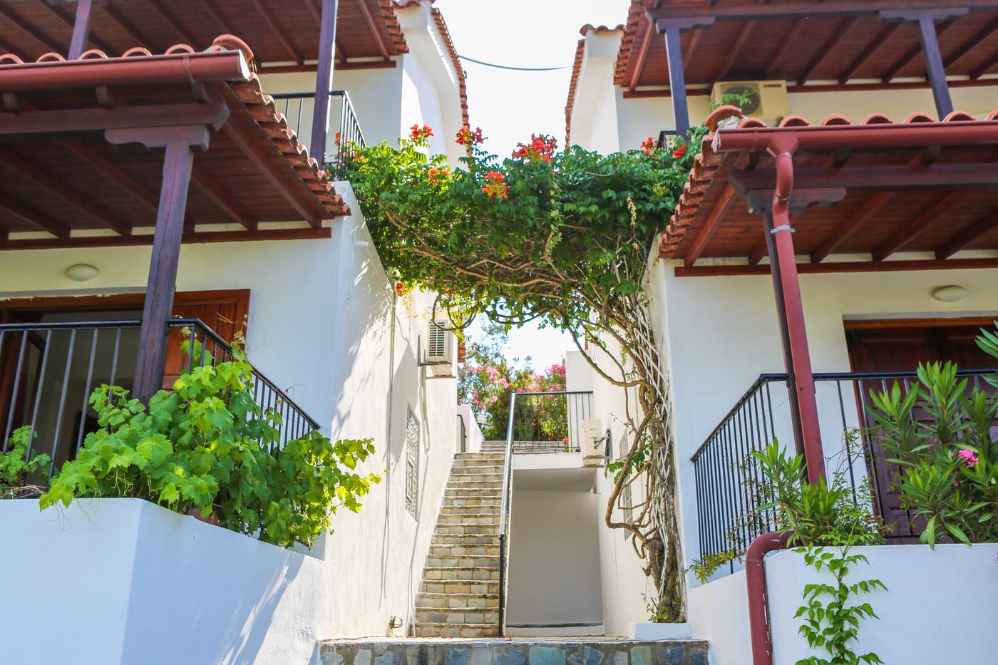 Angelina-Studios-General-view-11