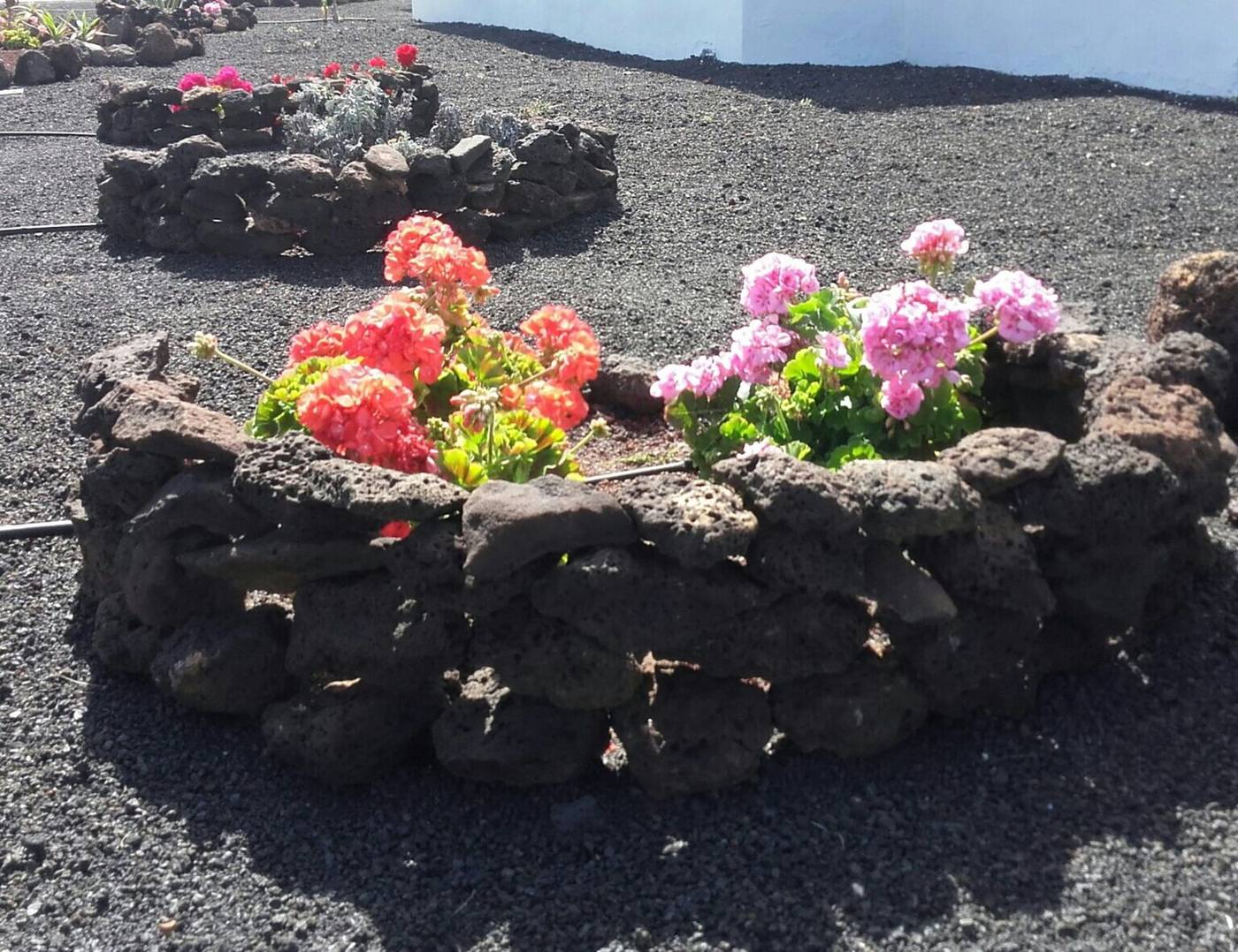 Vik--Coral-Beach-Sports-and-Entertainment-45