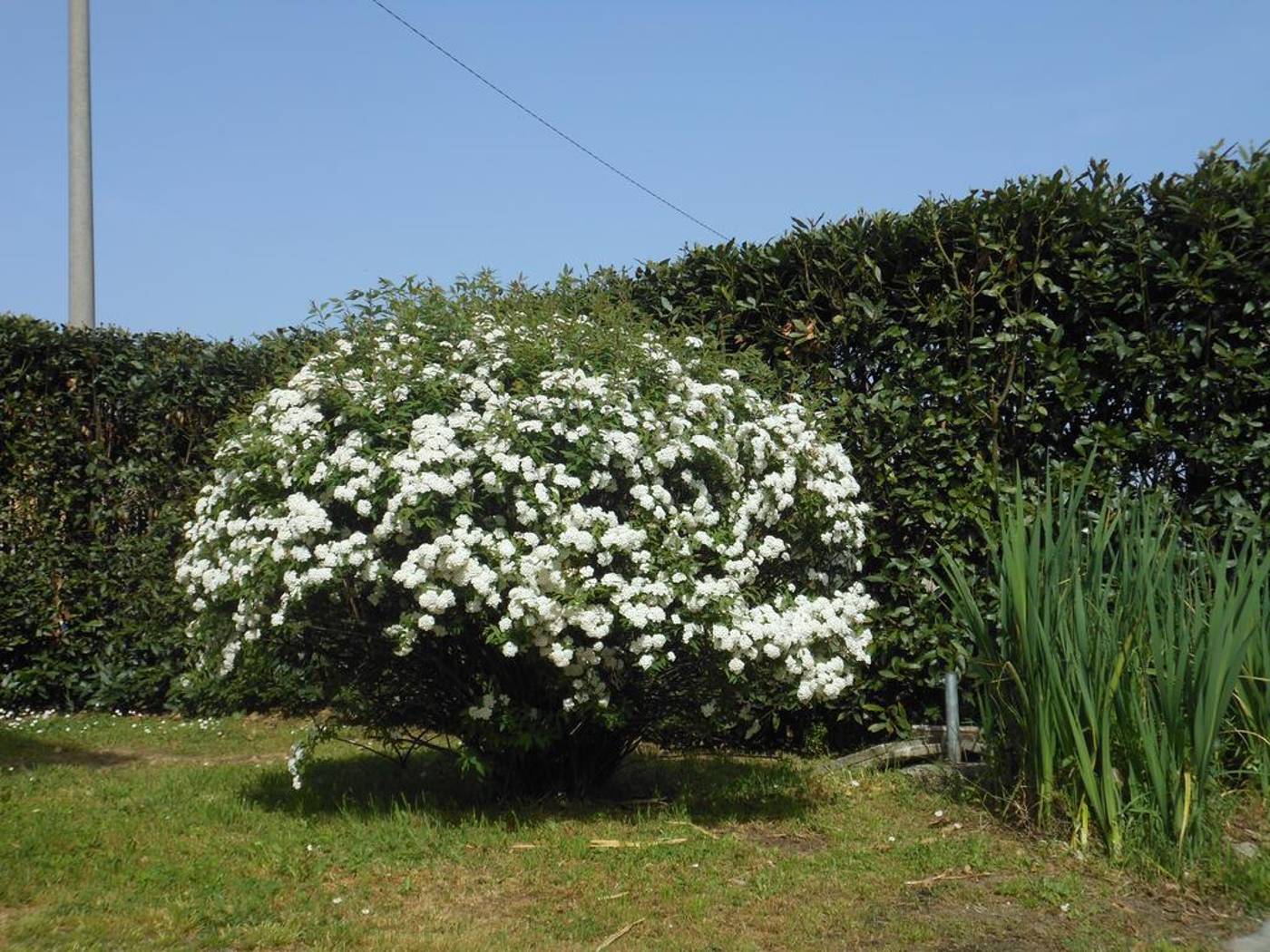 Bed-And-Breakfast-La-Corte-General-view-7
