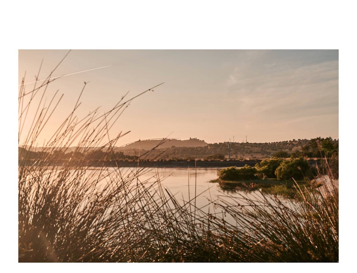 L'AND Vineyards-Portugal-MONTEMOR-O-NOVO-General view-2