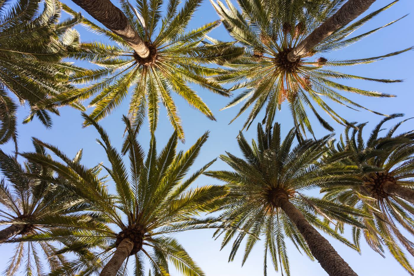 Hotel-Rural-El-Patio-General-view-7