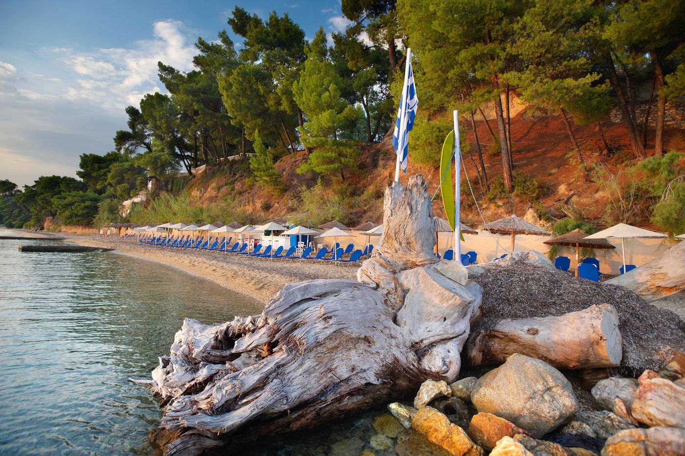 Athena-Pallas--Beach-93