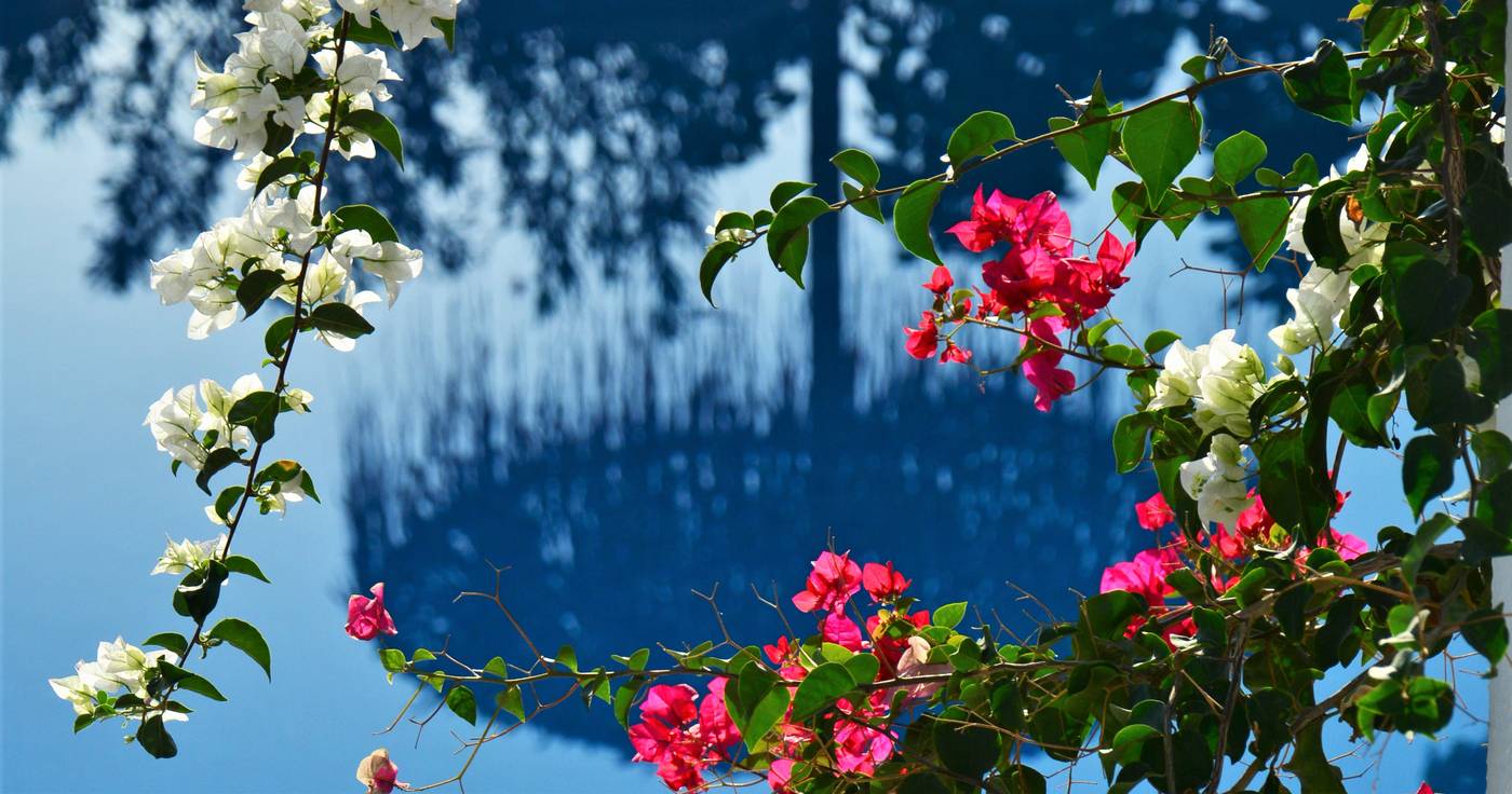 Artemis-Hotel-Kamari-Pool-21