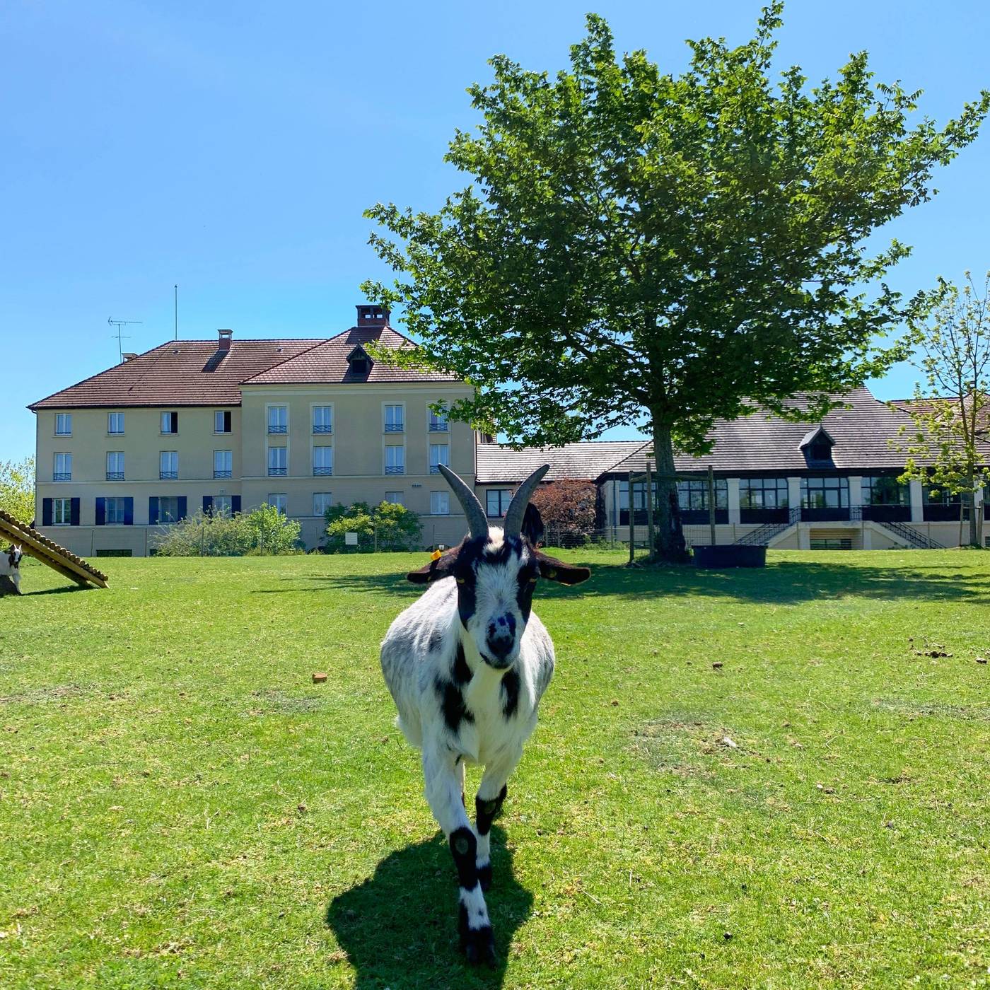 Campanile-Val-de-France-Ex-Kyriad-Disneyland-Sports-and-Entertainment-12